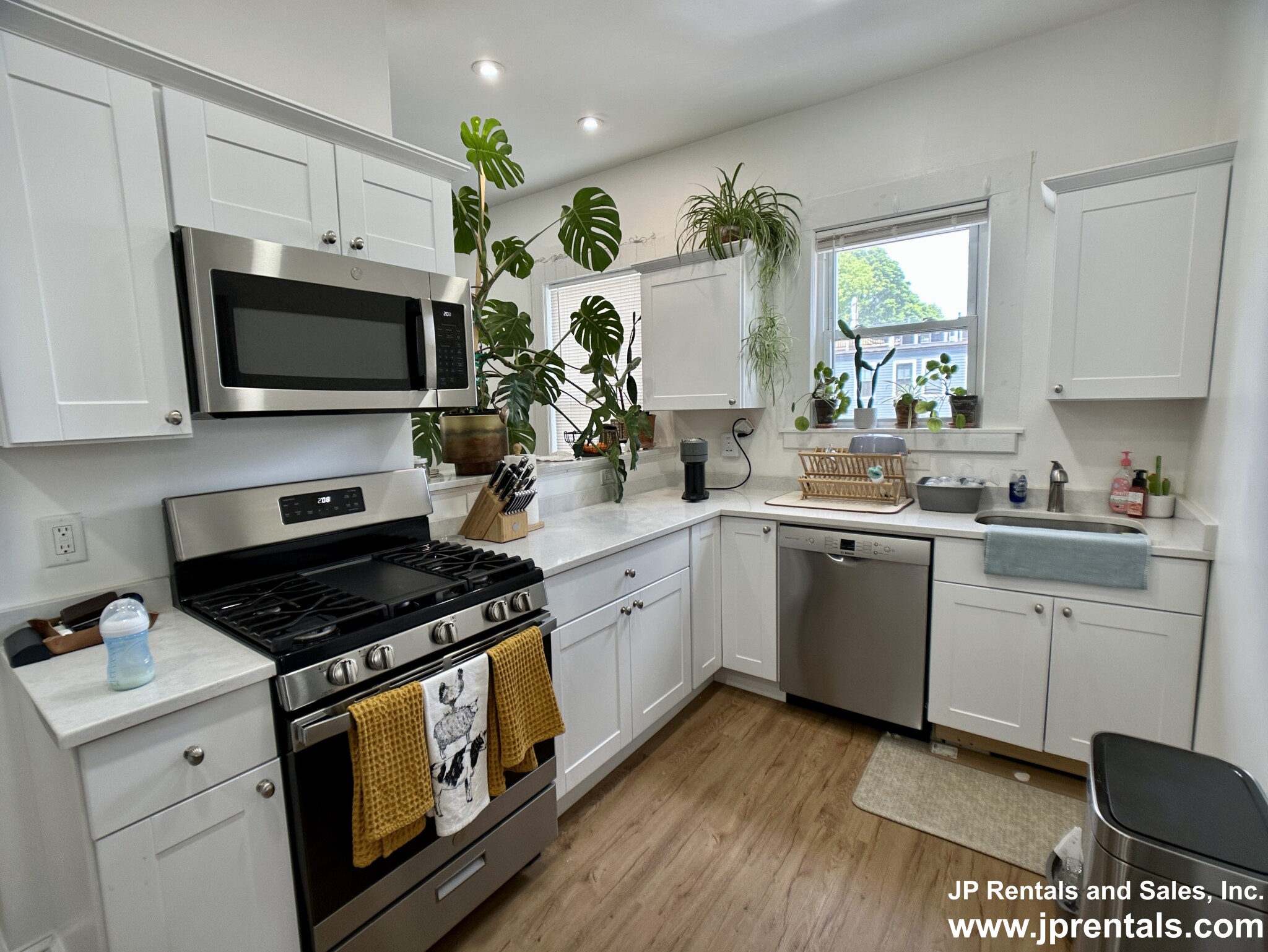 112 South St, Jamaica Plain