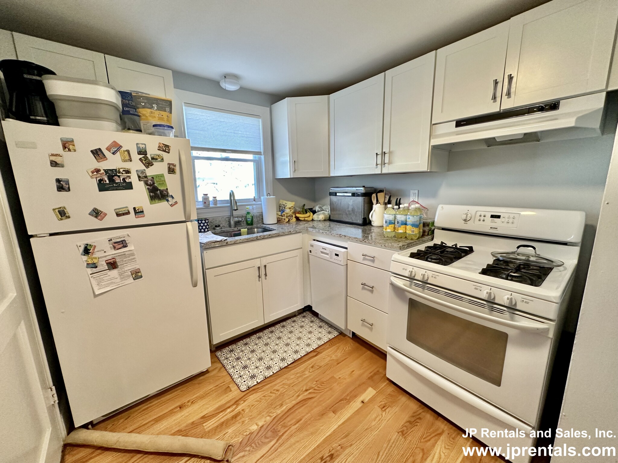 15 Paragon Rd, West Roxbury