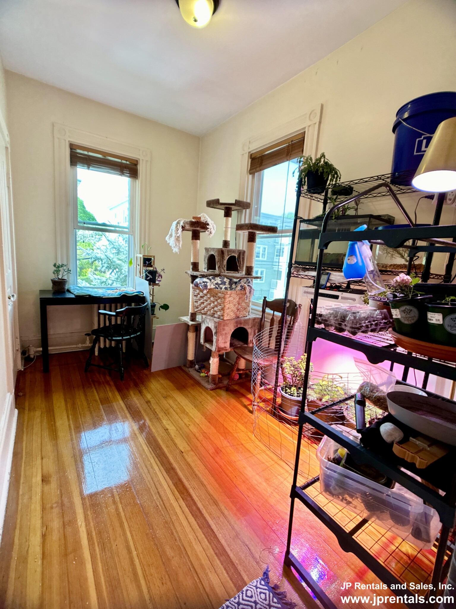 98 Paul Gore St, Jamaica Plain
