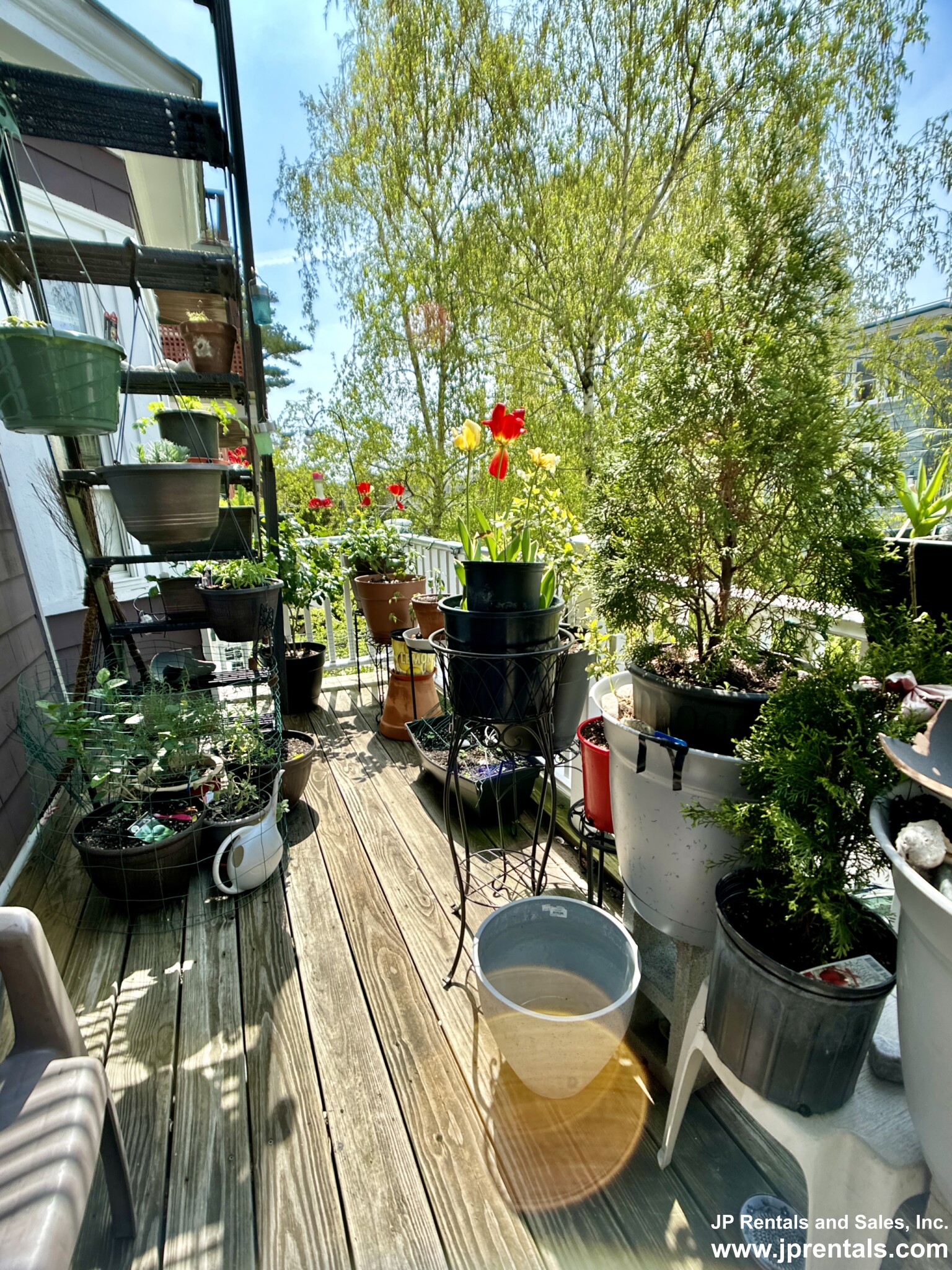 98 Paul Gore St, Jamaica Plain