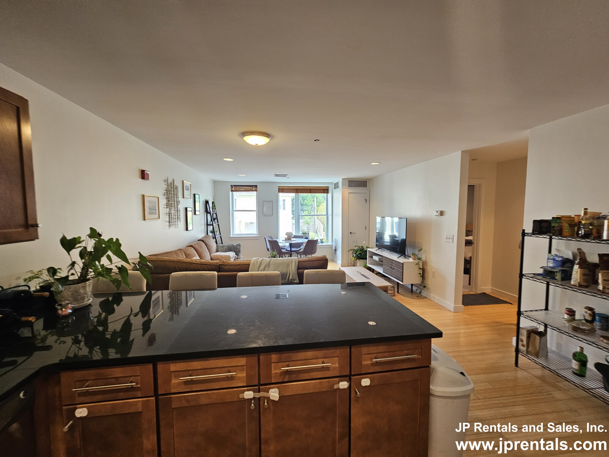 99 Chestnut Hill Ave, Brighton