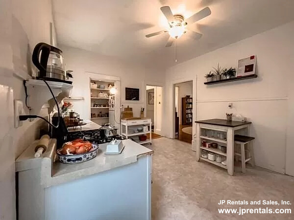 287 Chestnut Ave, Jamaica Plain