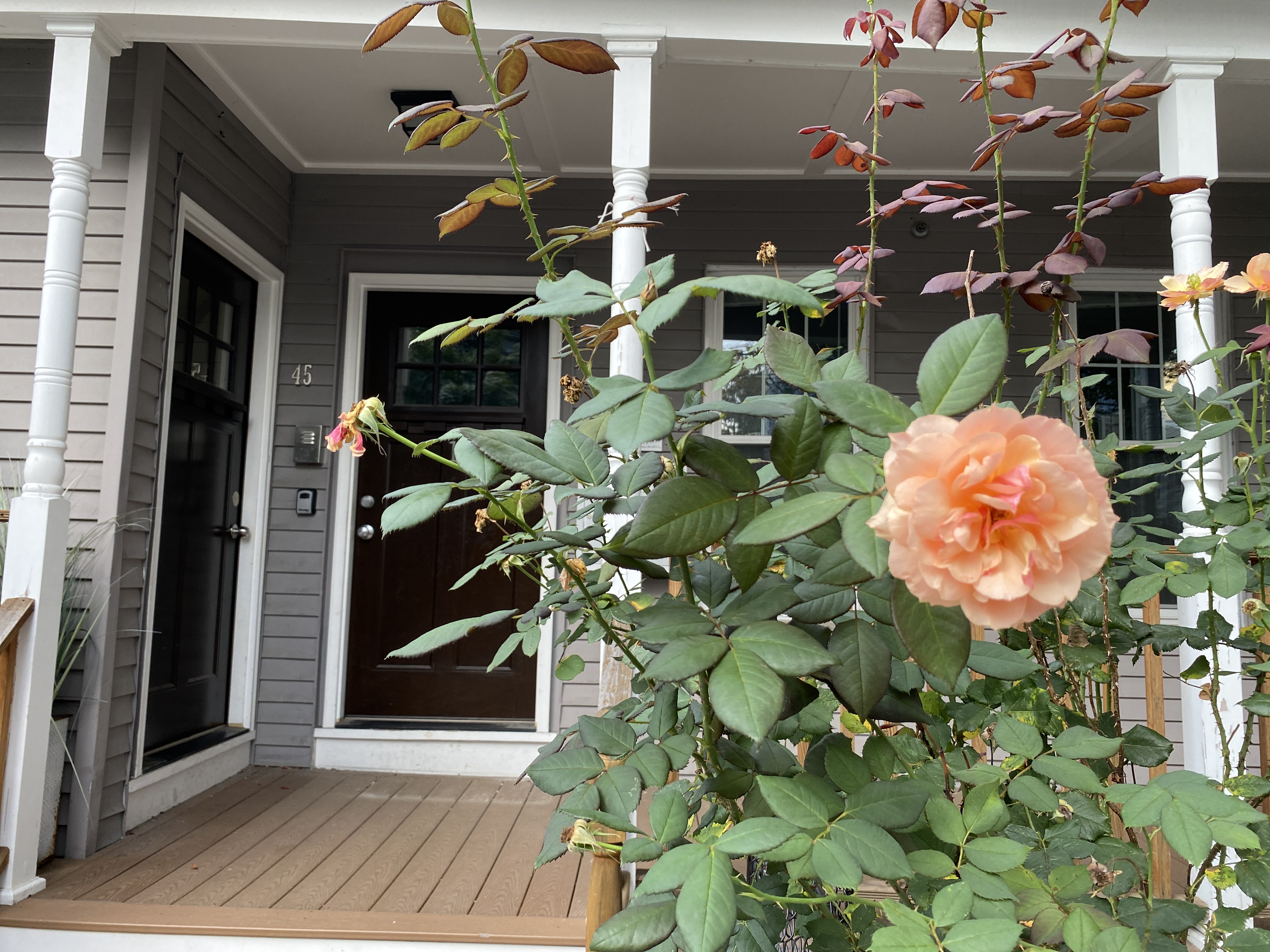 43 45 Derby St, East Somerville