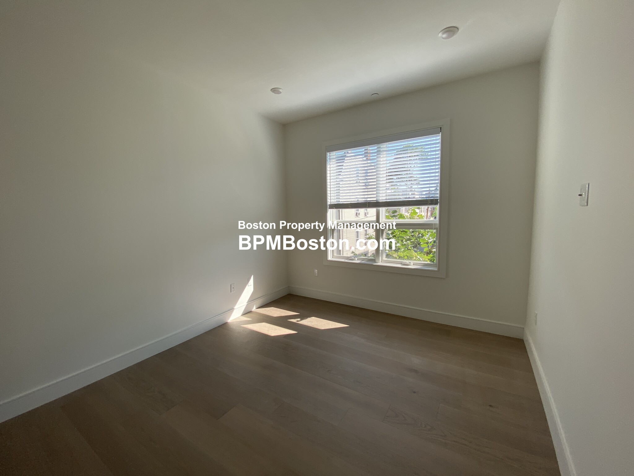 33 39 Ward St, South Boston