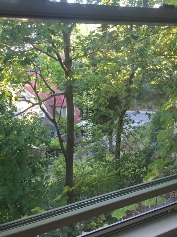 100 Kilsyth Rd, Brighton