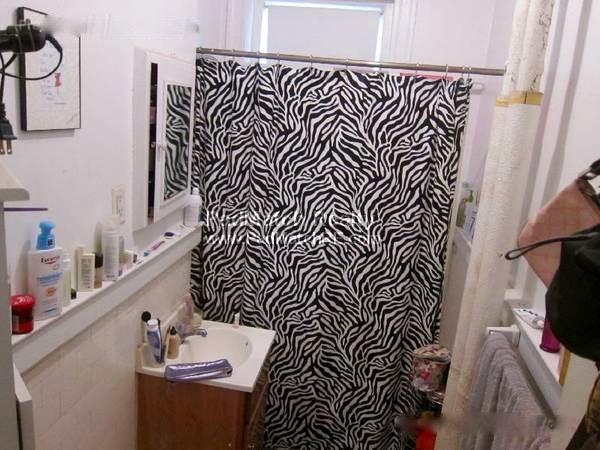 1171 Boylston St, Fenway