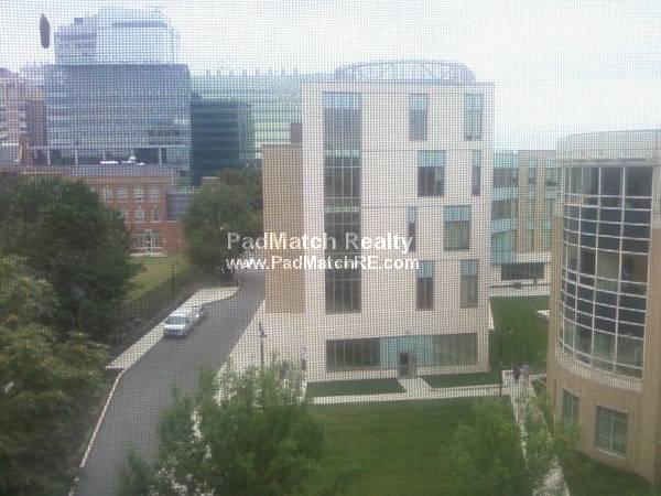 14 Palace Rd, Fenway