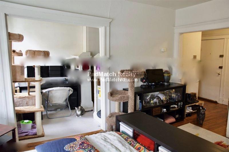 1163 Boylston St, Fenway