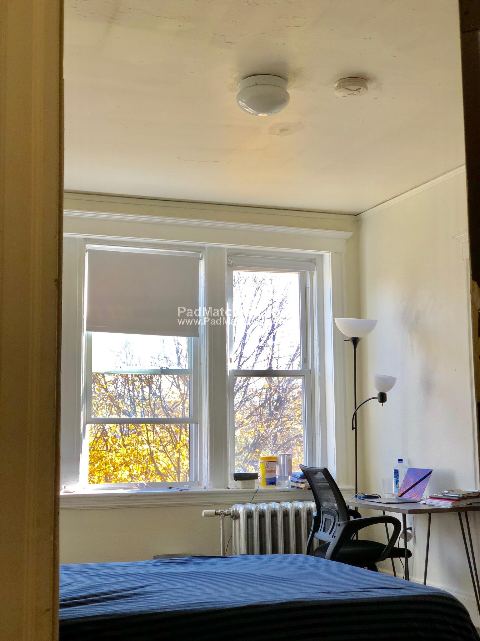 1163 Boylston St, Fenway