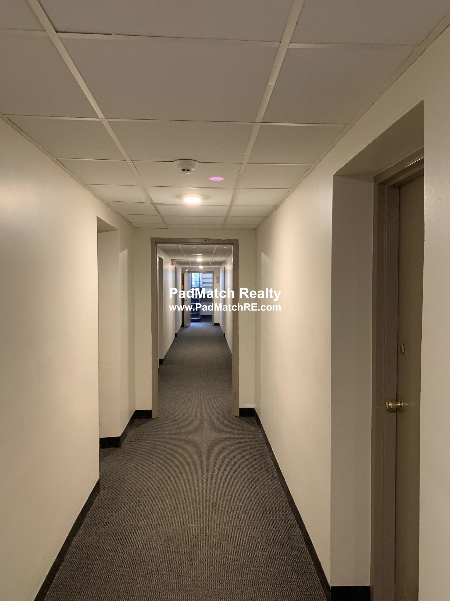 230 Babcock St, West End