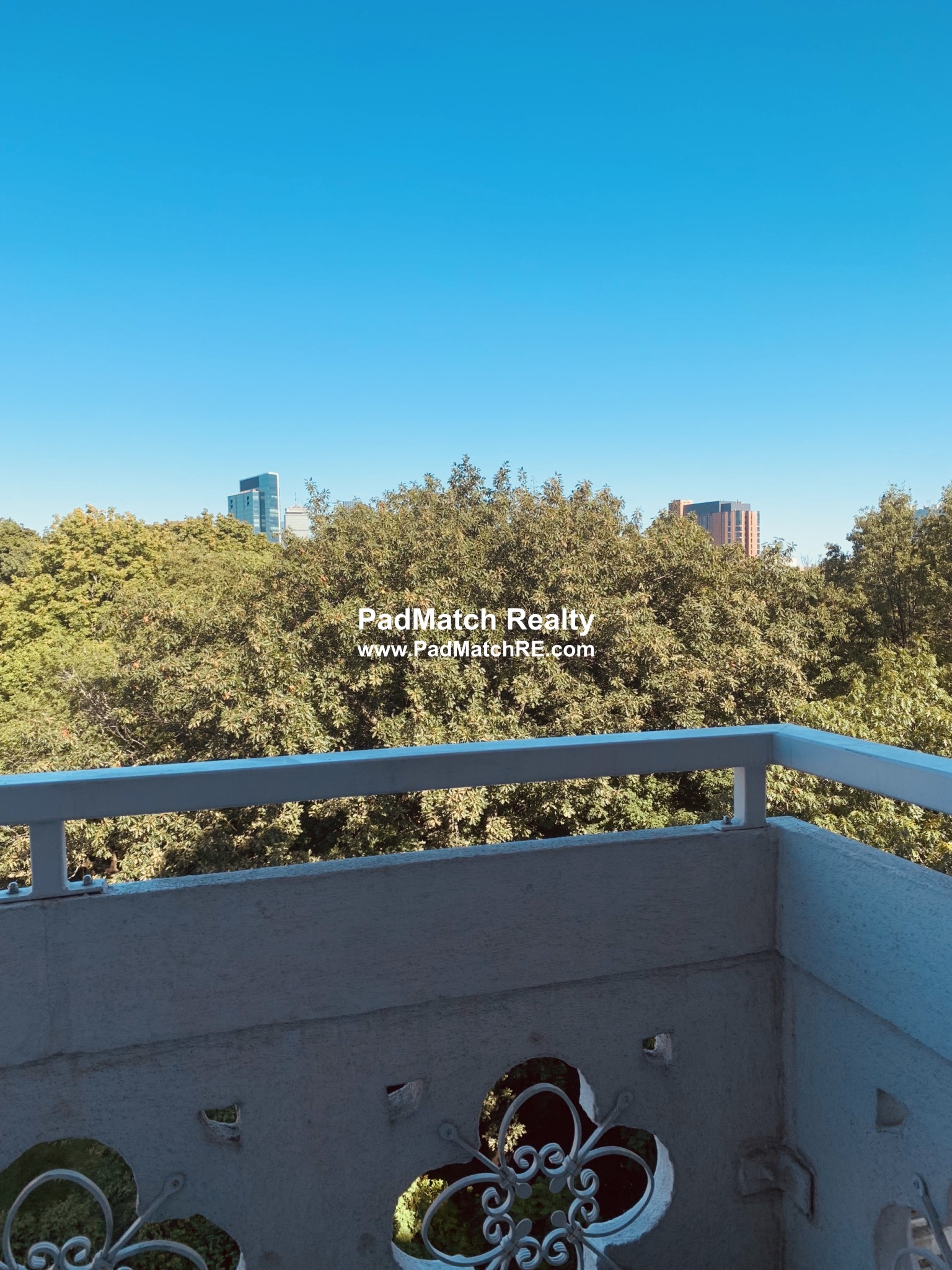 20 Chapel St, Longwood