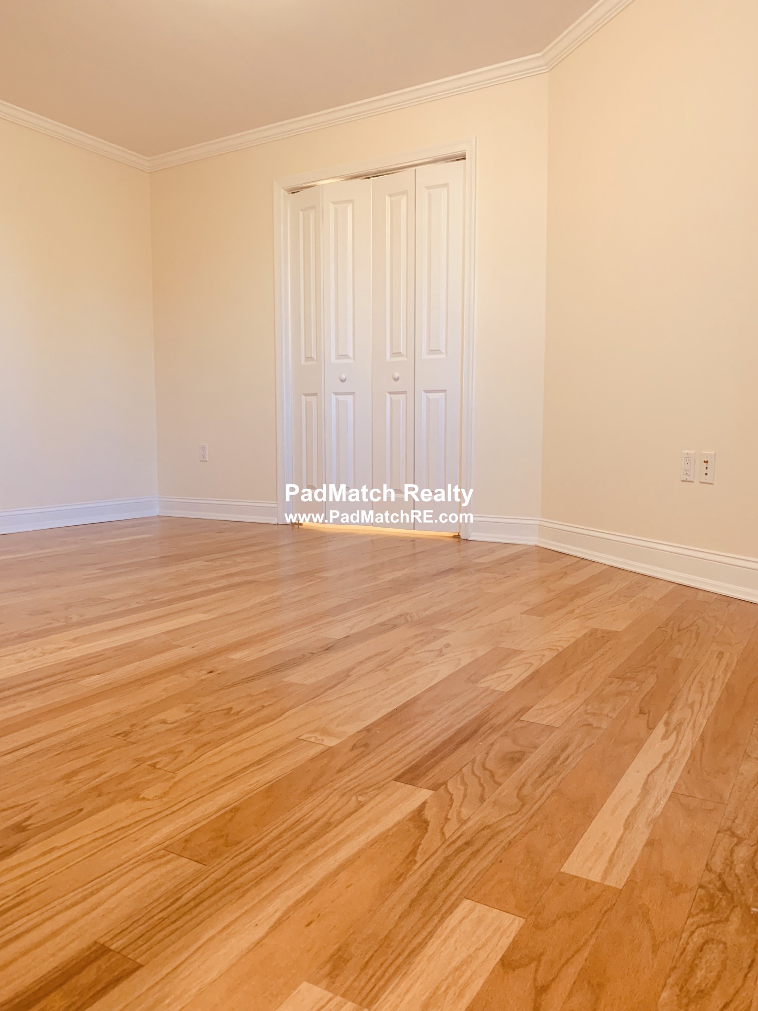 20 Chapel St, Longwood