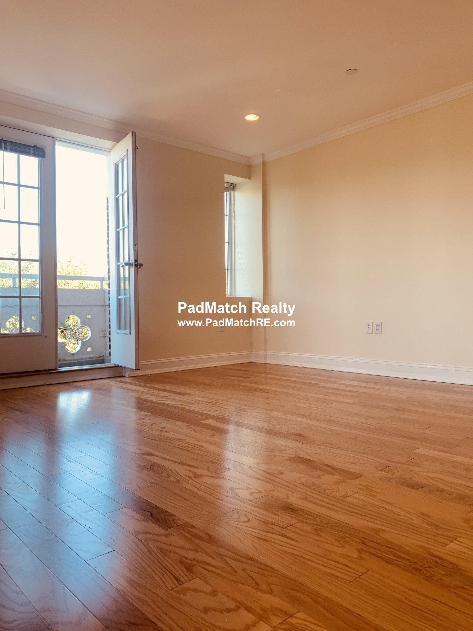 20 Chapel St, Longwood