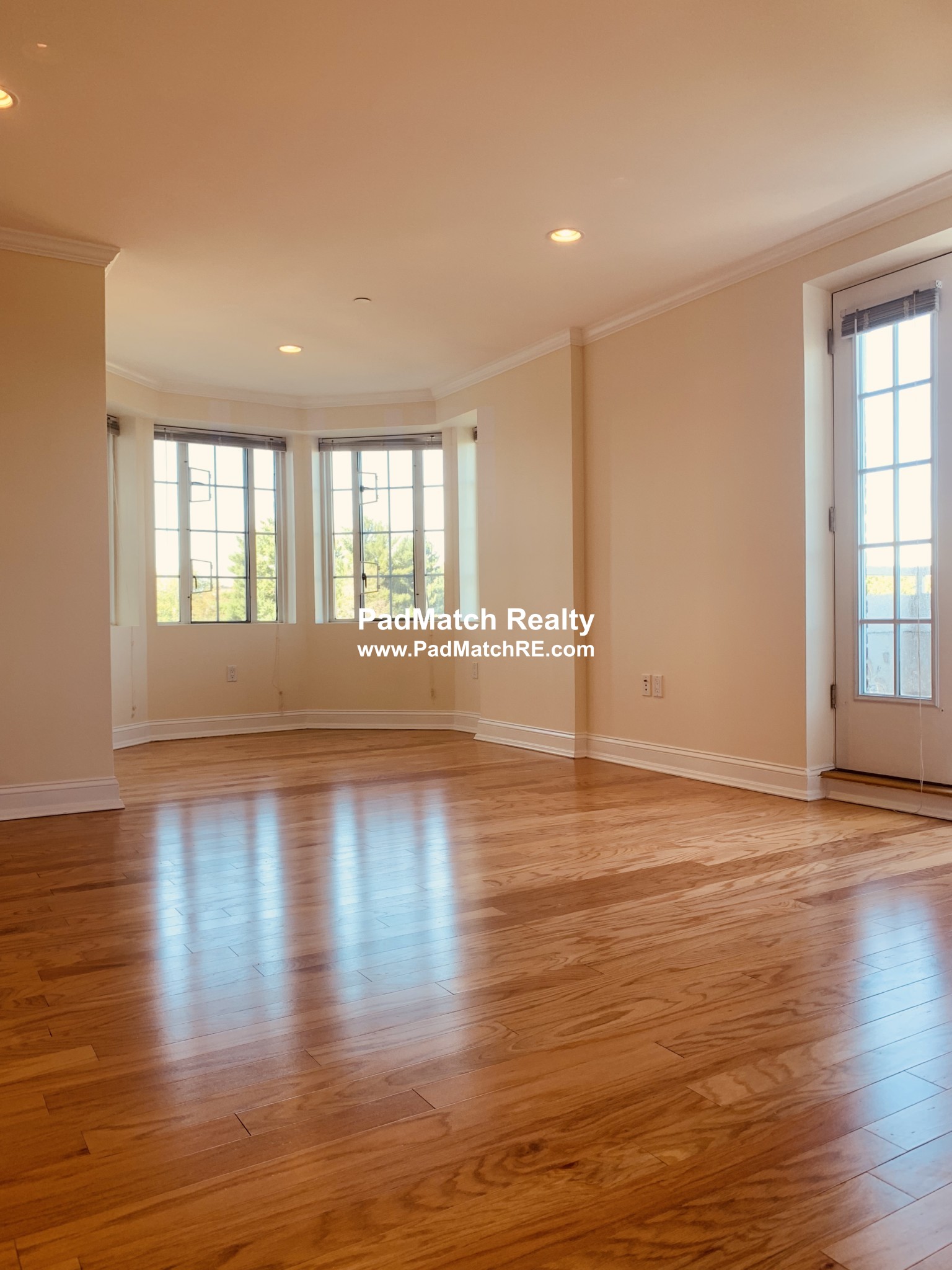 20 Chapel St, Longwood