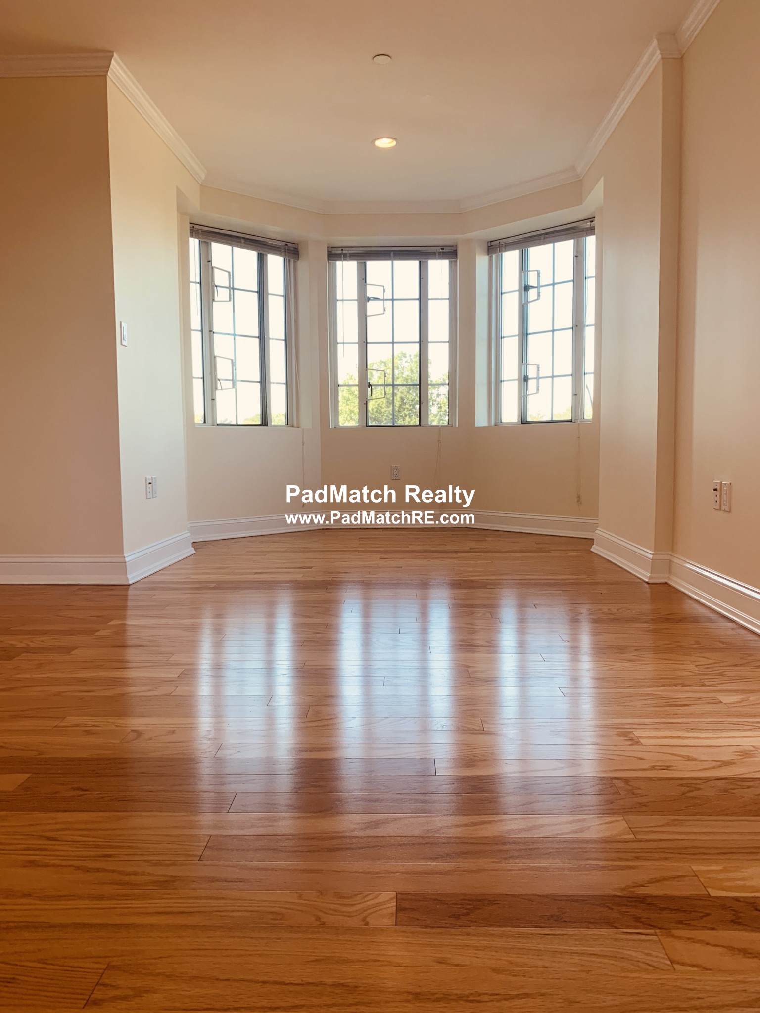 20 Chapel St, Longwood