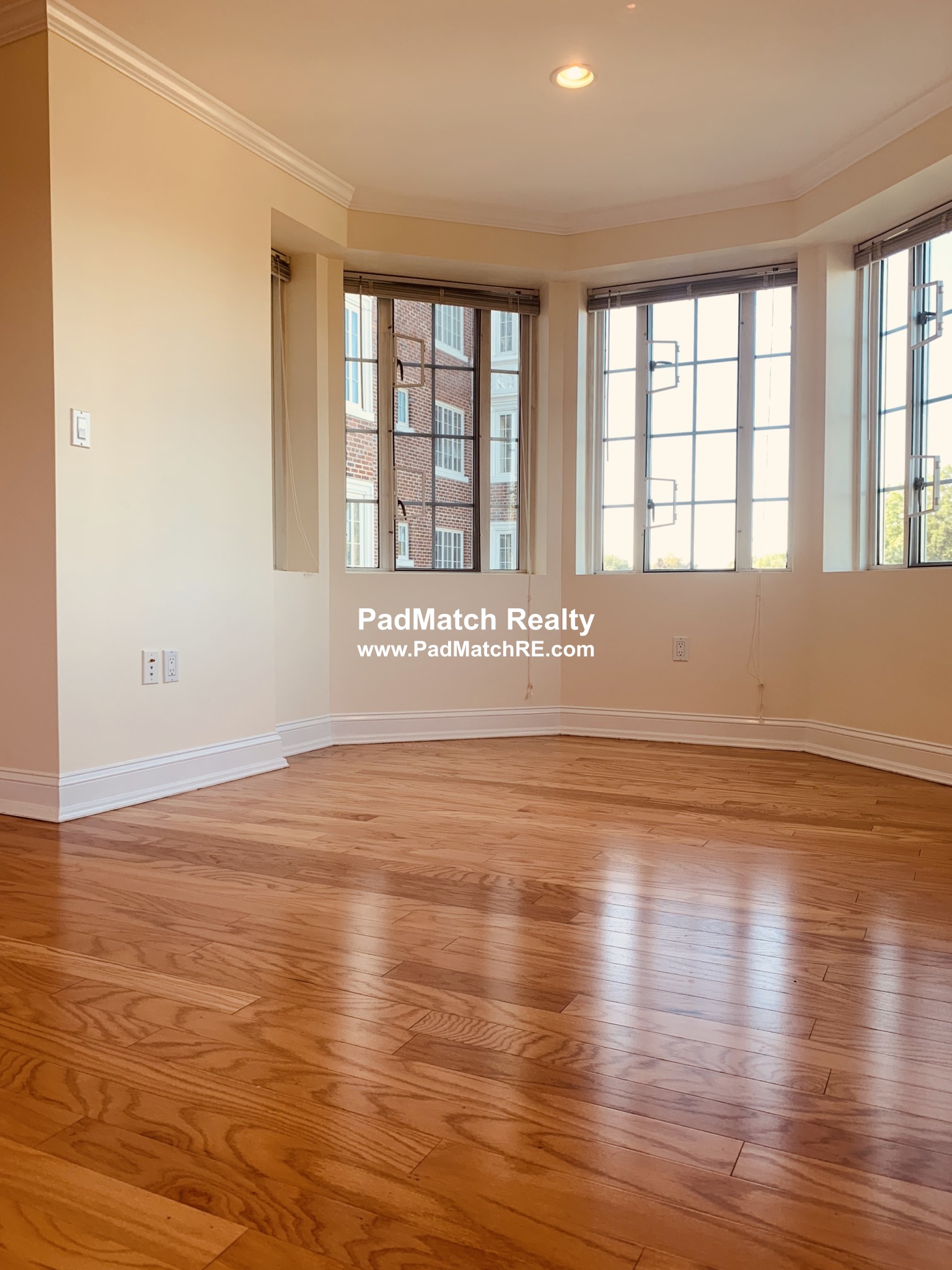 20 Chapel St, Longwood