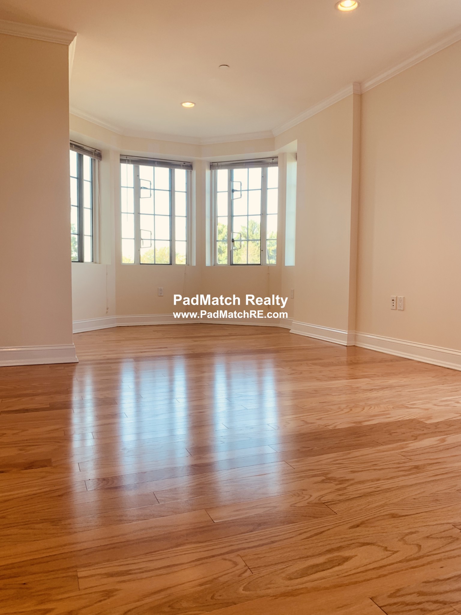 20 Chapel St, Longwood