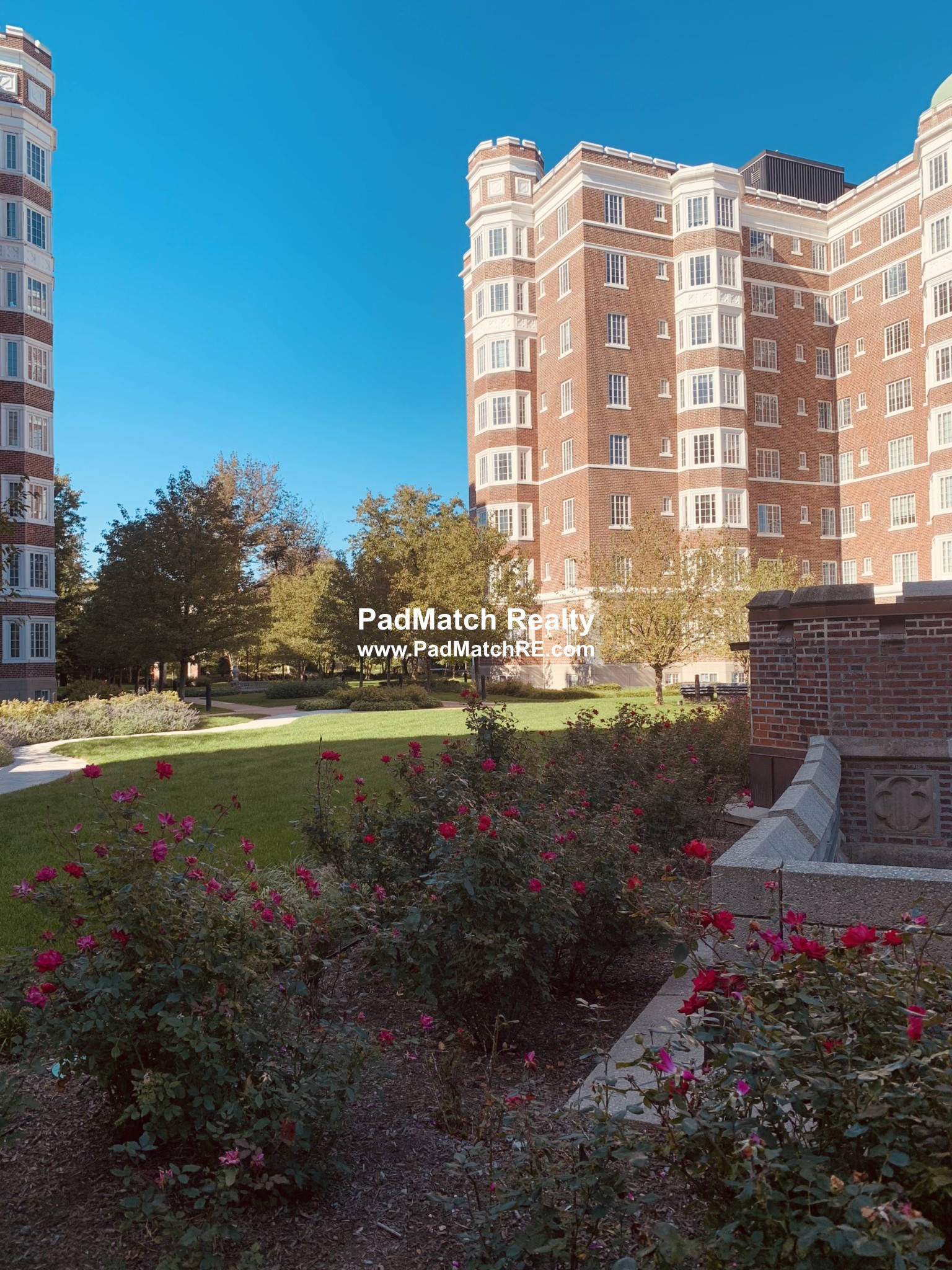 20 Chapel St, Longwood