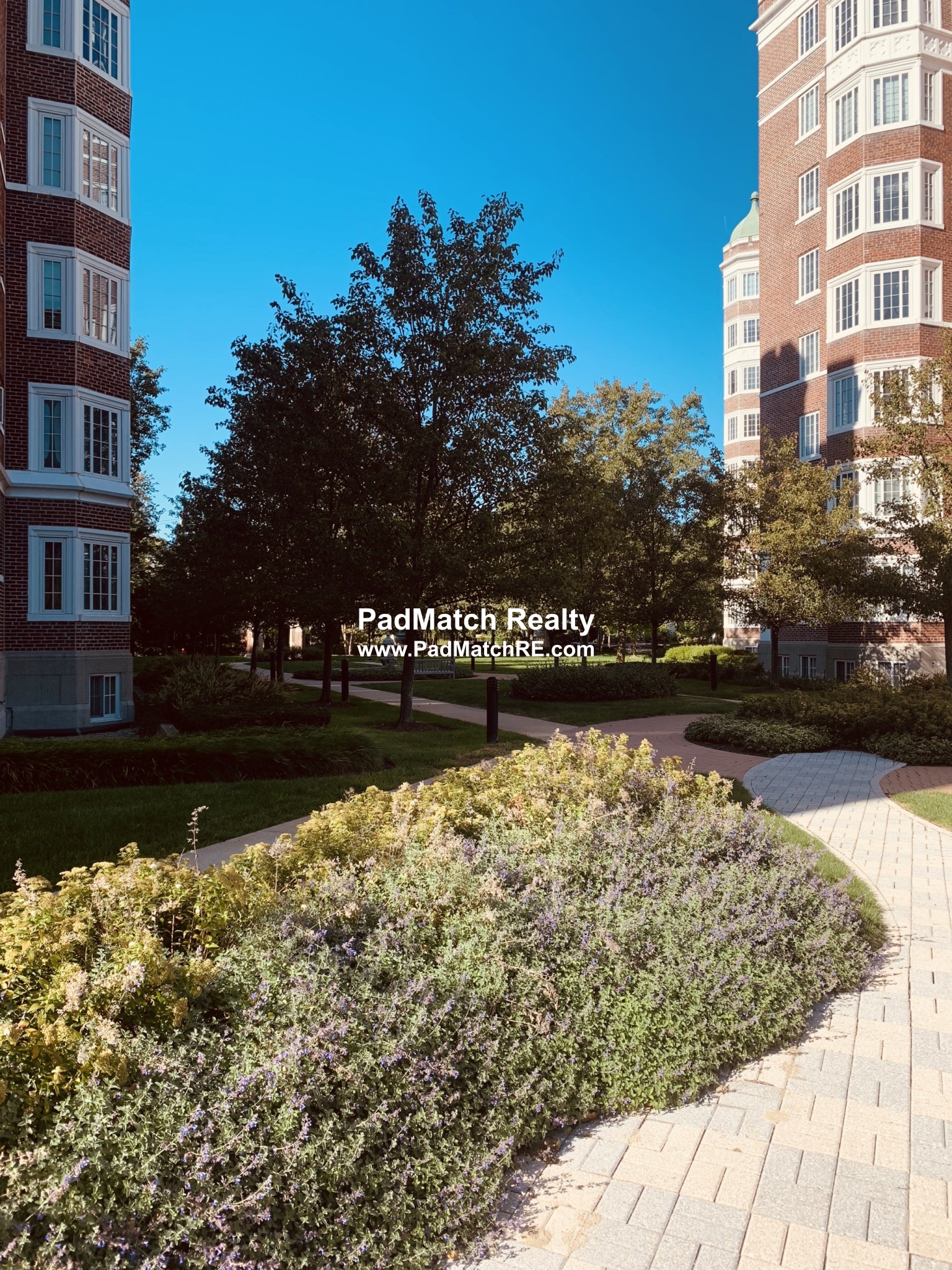 20 Chapel St, Longwood