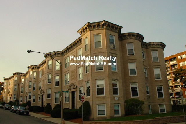 11 Mount Hood Rd, Brighton