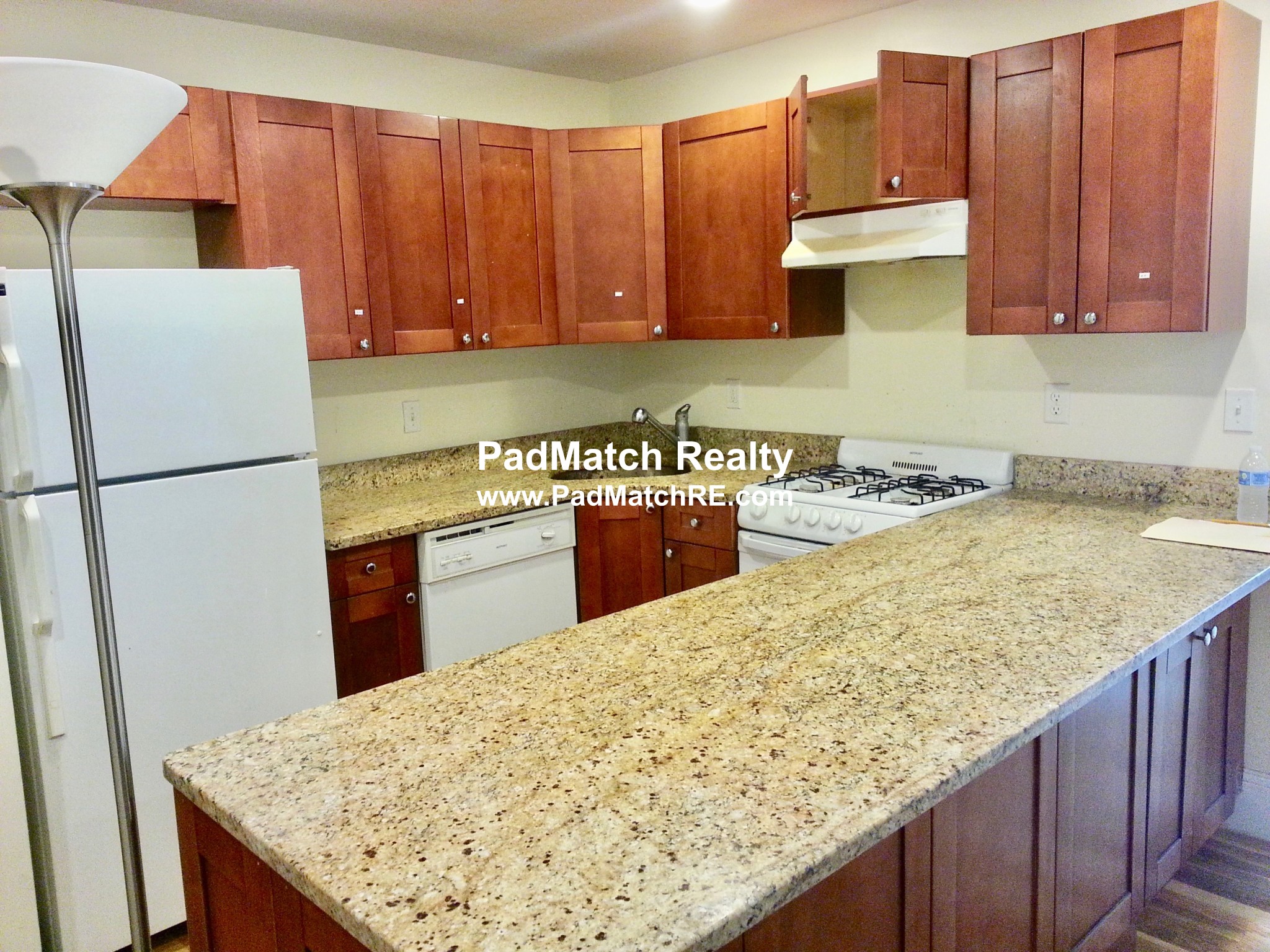 62 Egmont St. Unit 6, Brookline