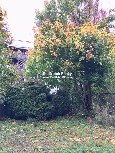 3 bed, 1 bath apartment for rent at 170 Bennington St Unit 3, East Boston — photo 5 of 8
