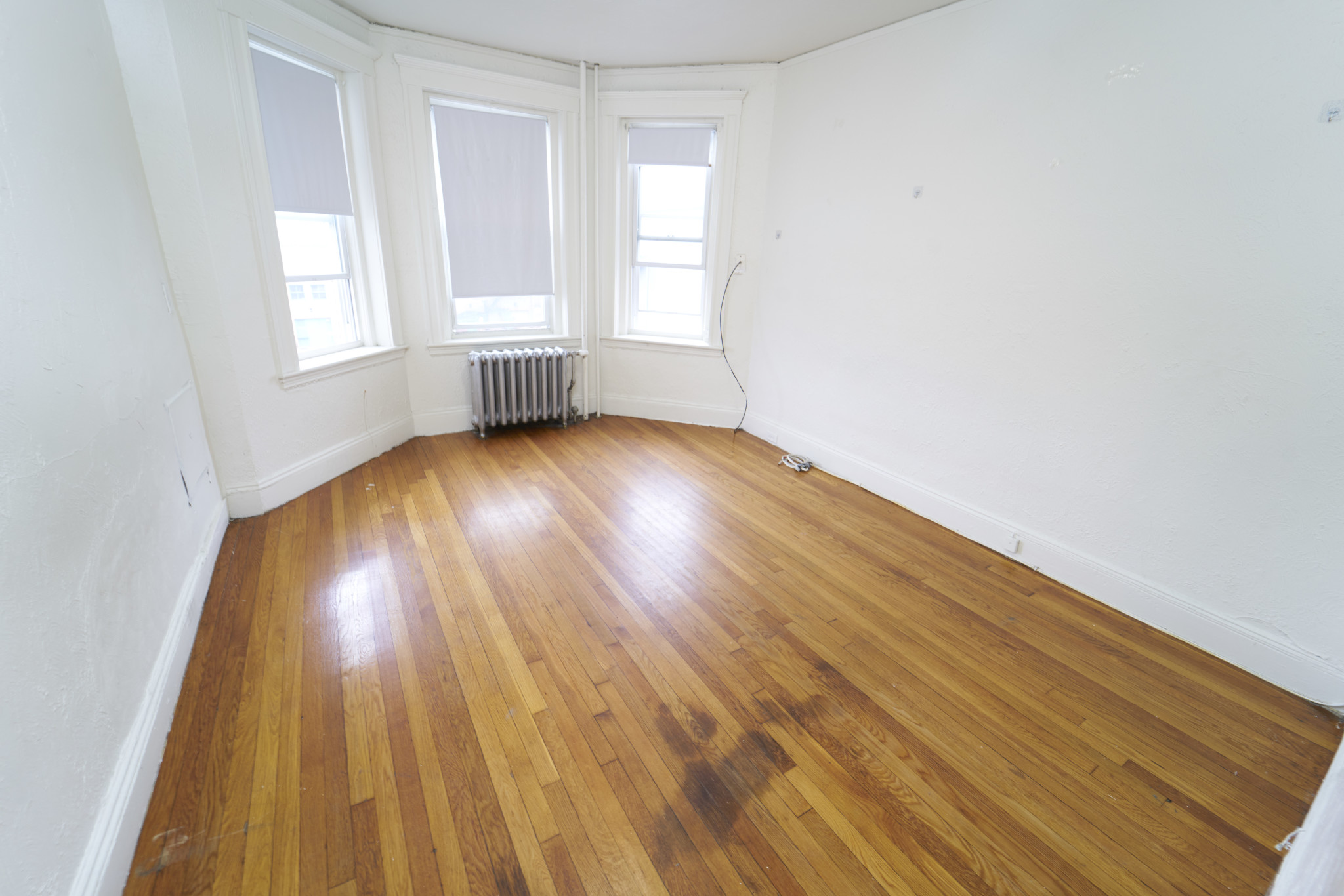 1167 Boylston St, Fenway