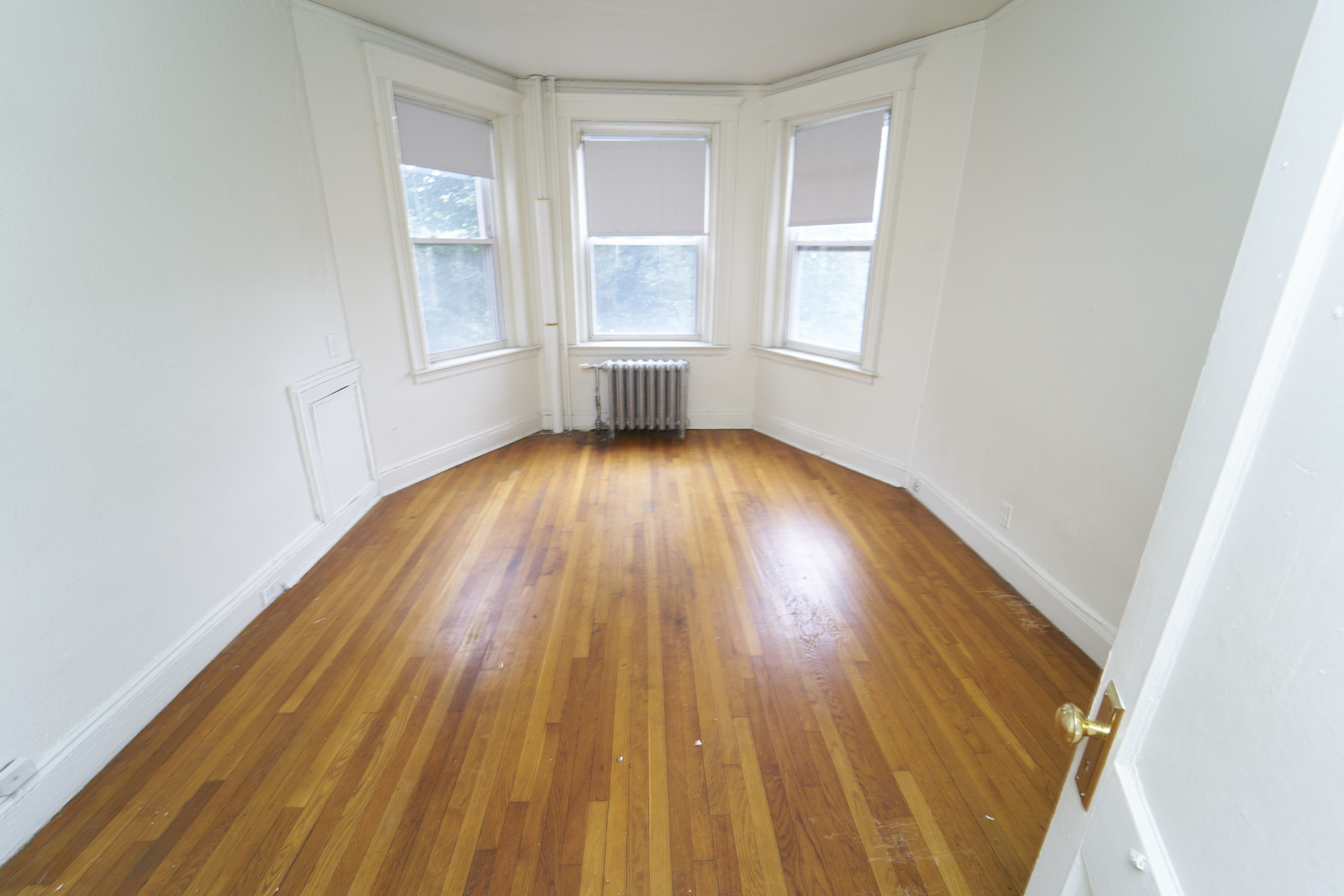 1163 Boylston St, Fenway