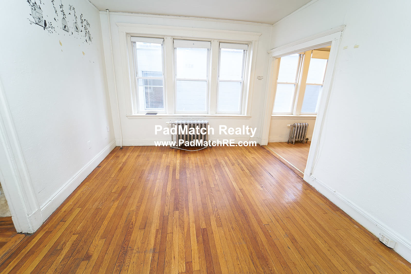 1163 Boylston St, Fenway