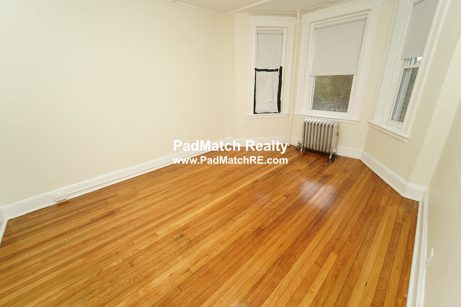 1175 Boylston St, Fenway