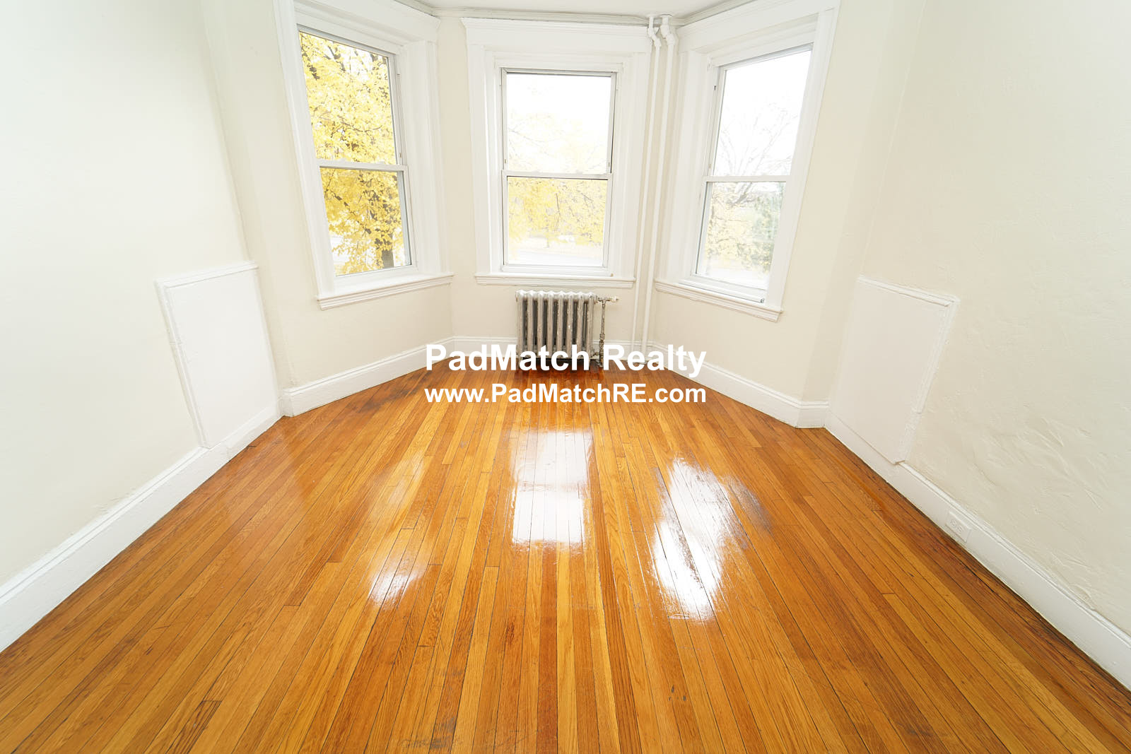 1167 Boylston St, Fenway