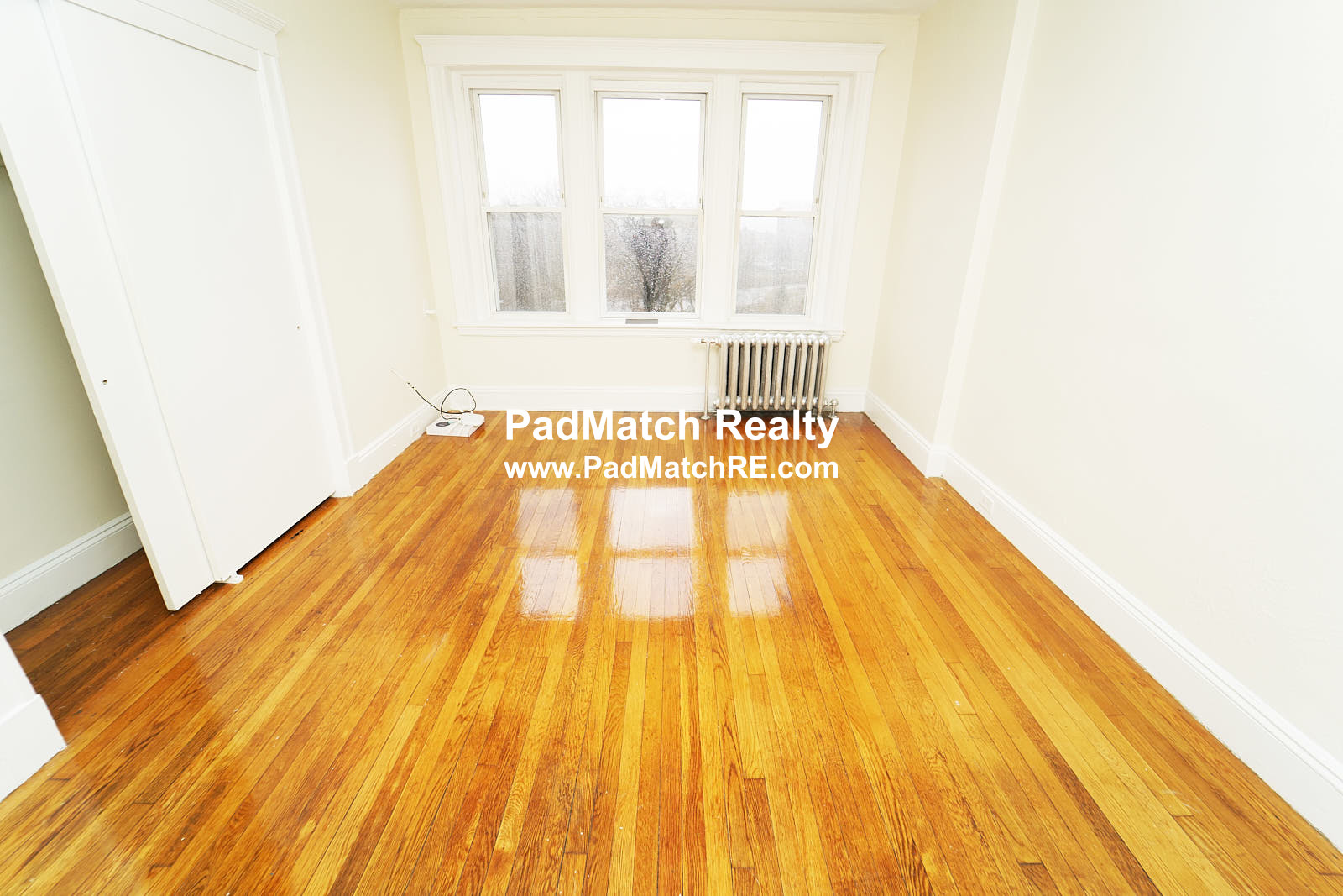 1171 Boylston St, Fenway