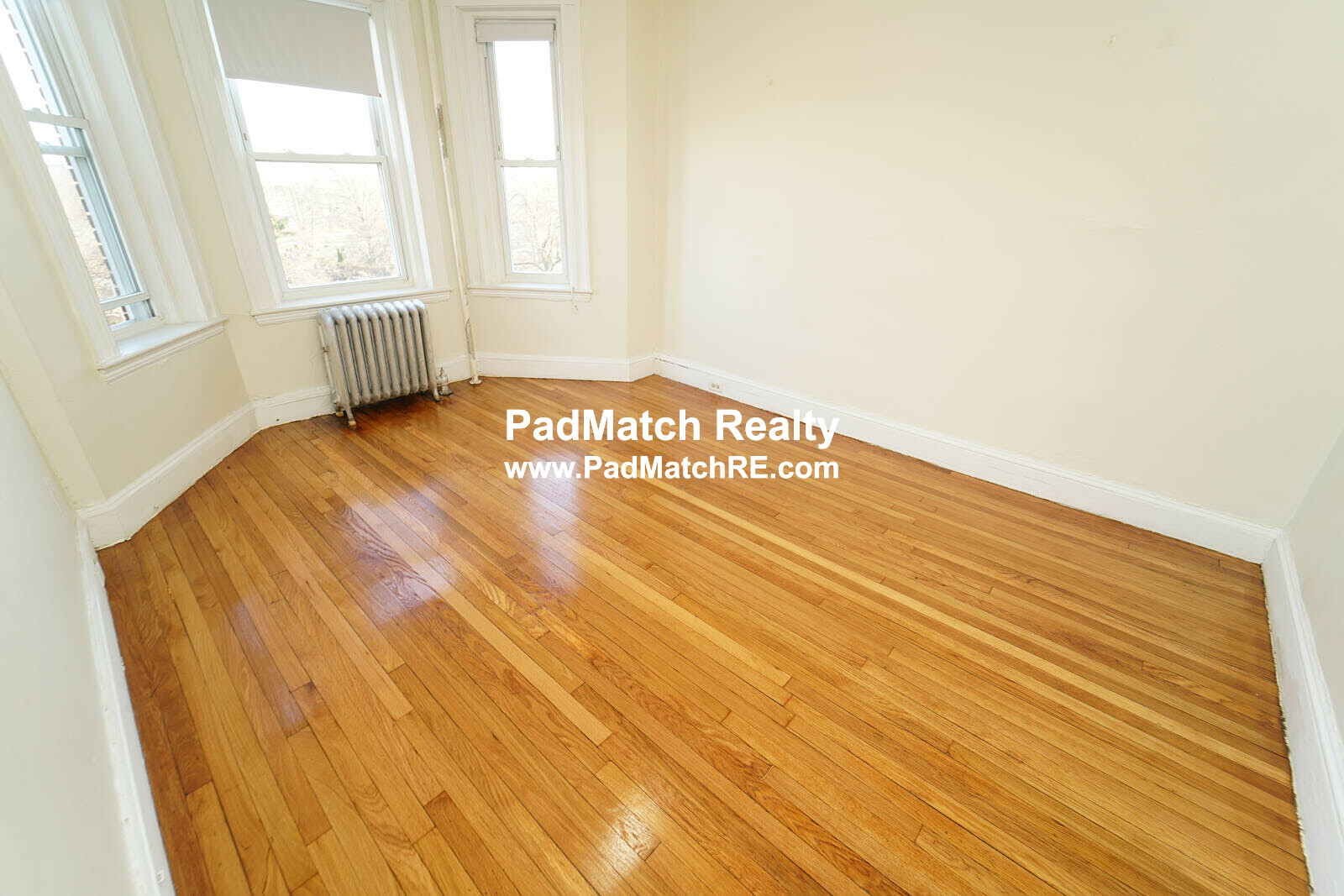 1175 Boylston St, Fenway