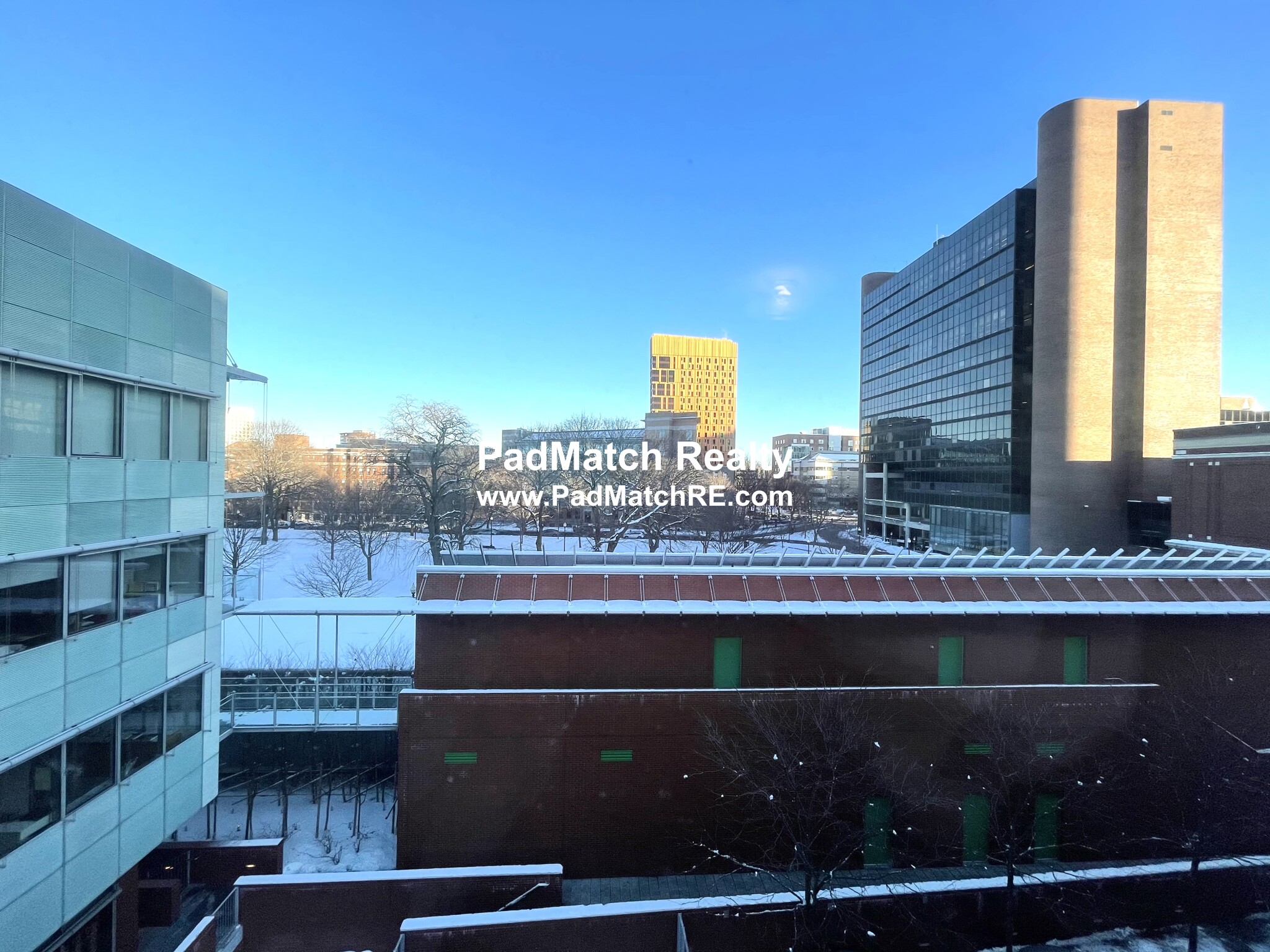 14 Palace Rd, Fenway