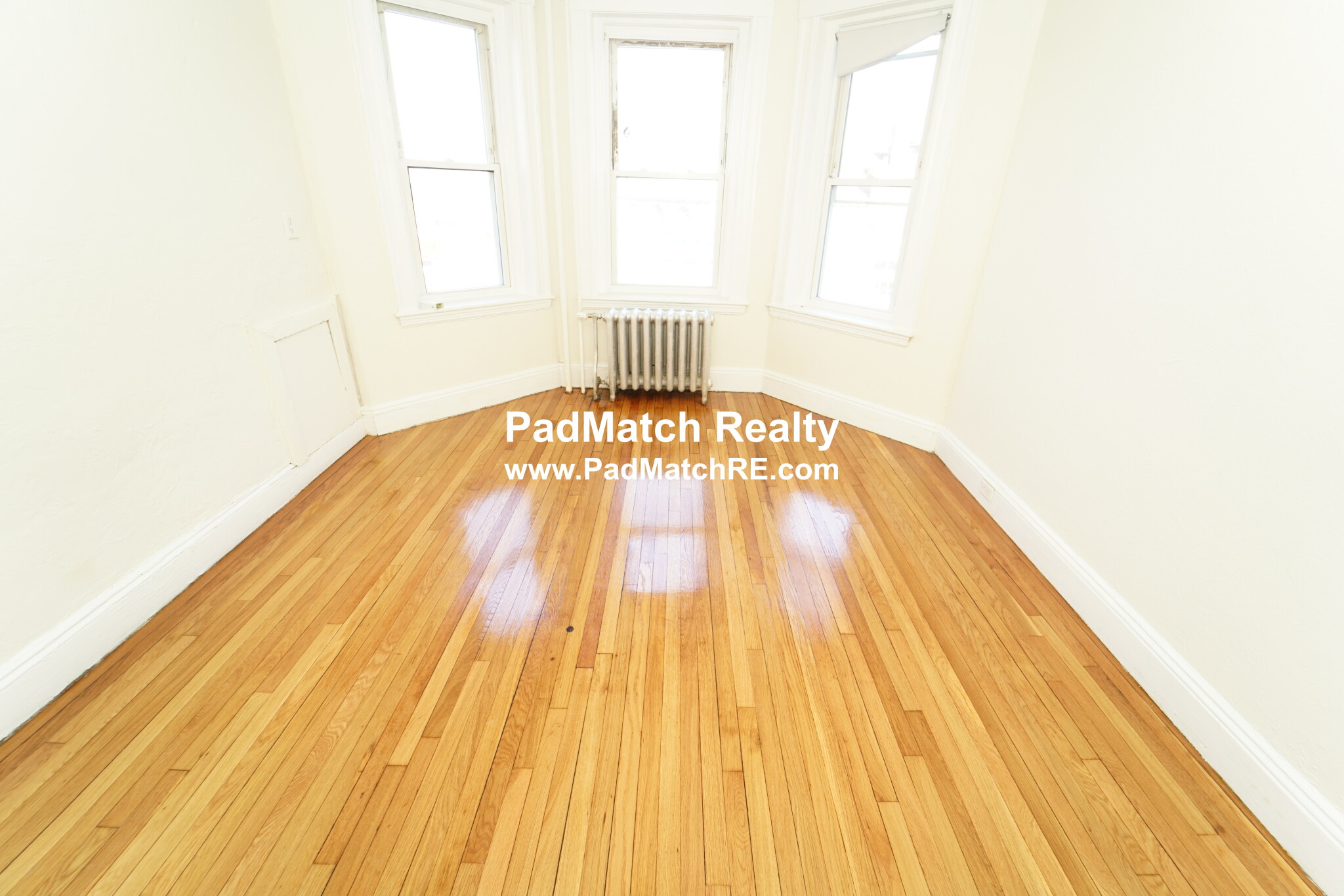 1171 Boylston St, Fenway