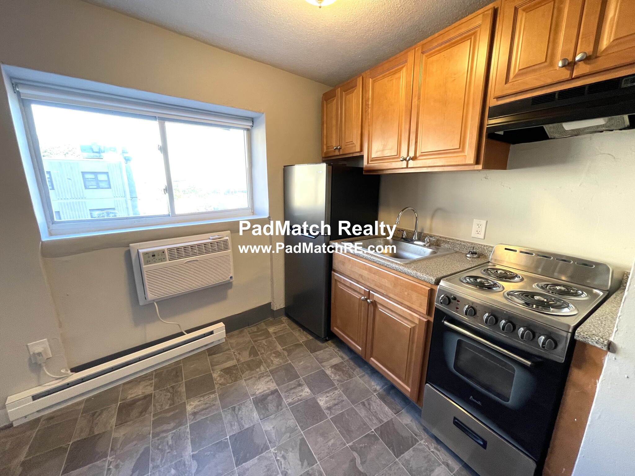 231 Harrison Ave, Chinatown