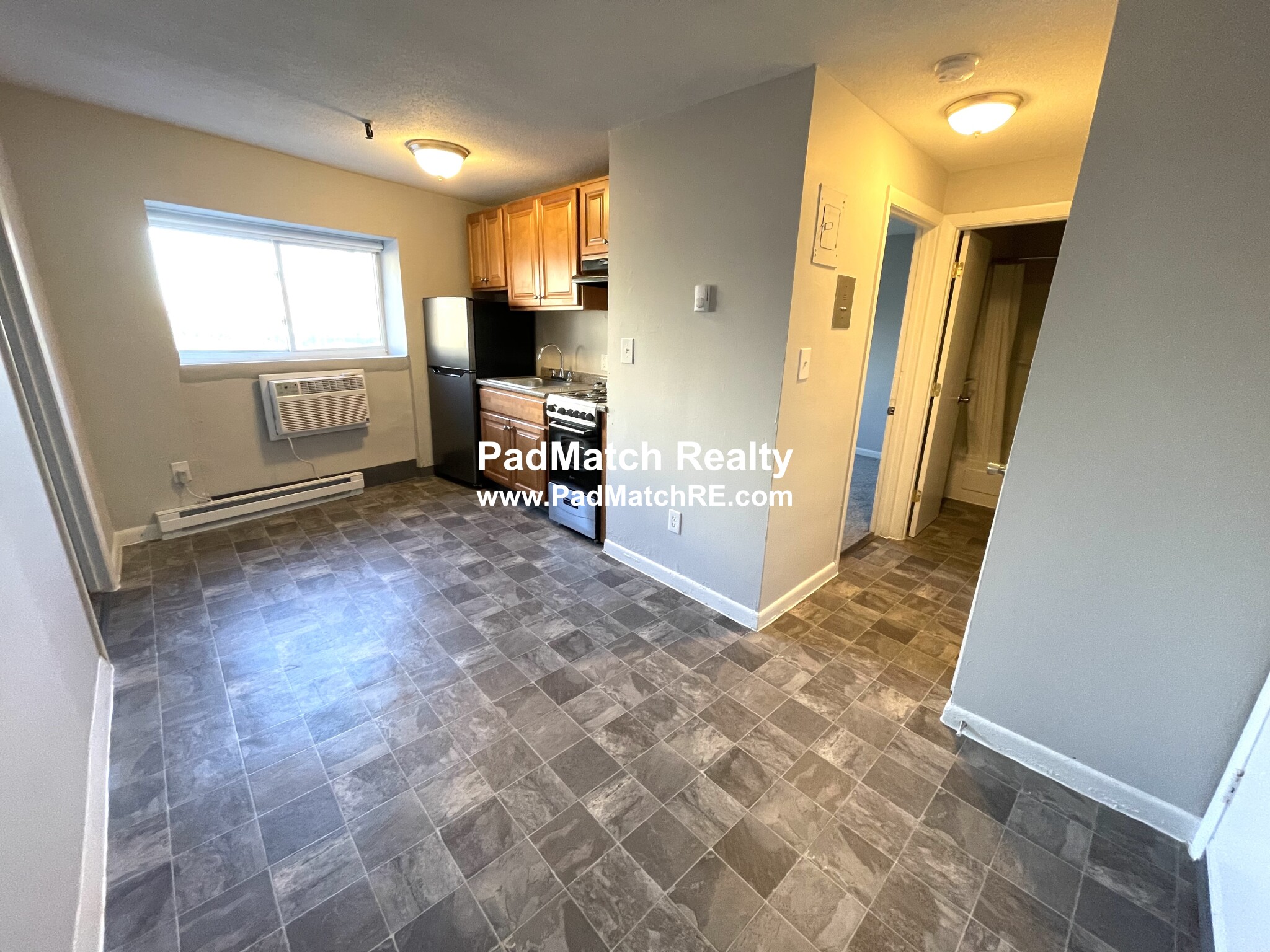 231 Harrison Ave, Chinatown