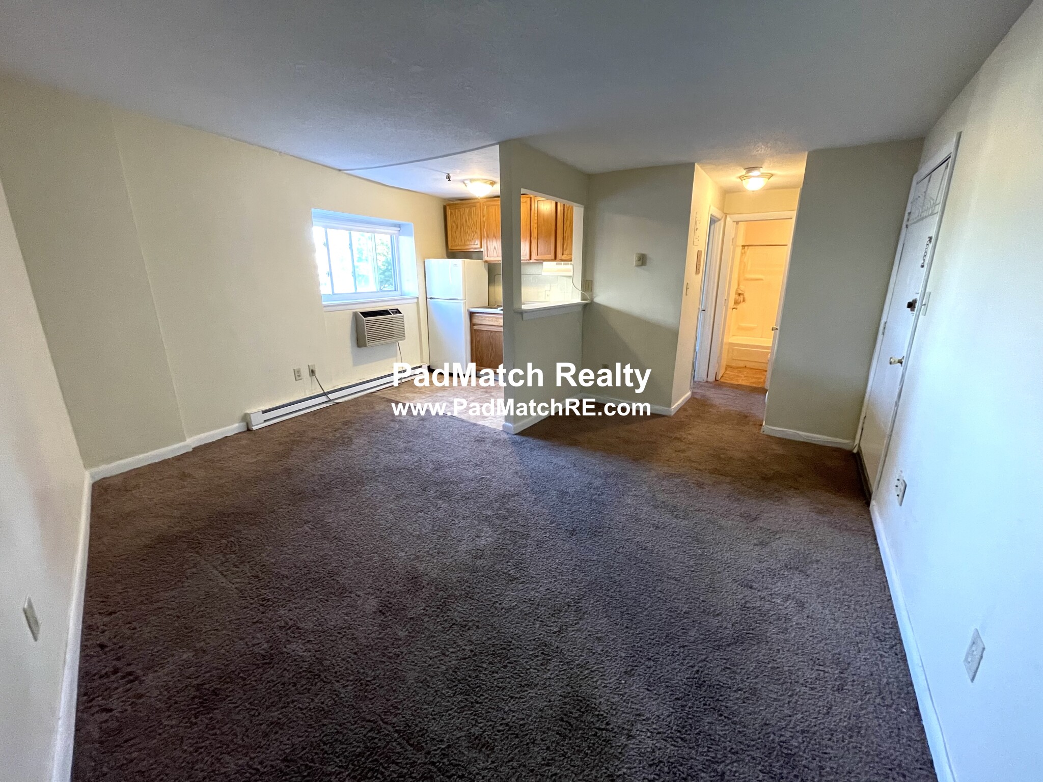 231 Harrison Ave, Chinatown