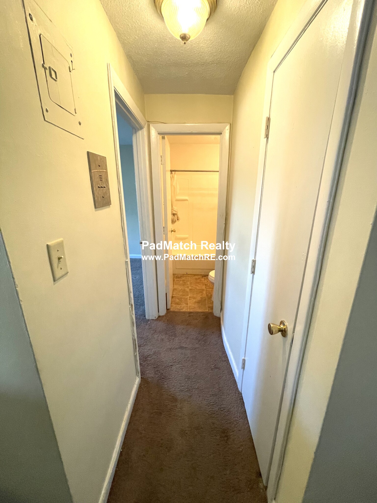 231 Harrison Ave, Chinatown