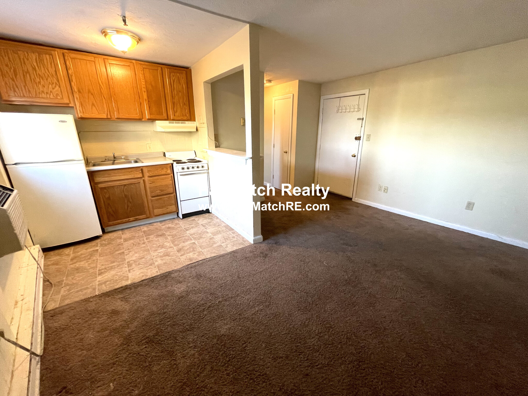 231 Harrison Ave, Chinatown