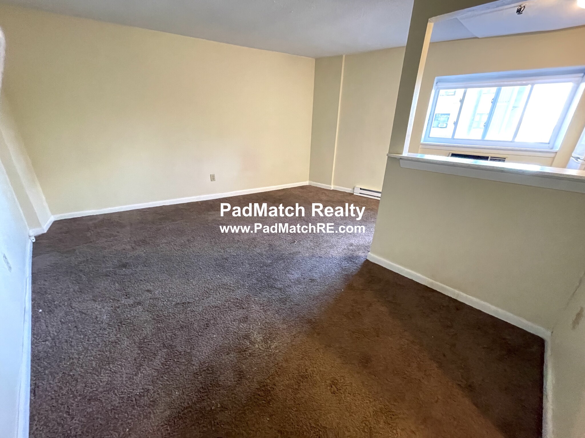 231 Harrison Ave, Chinatown