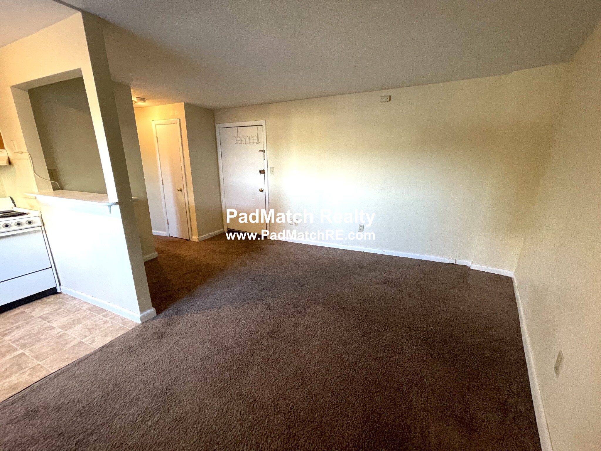 231 Harrison Ave, Chinatown