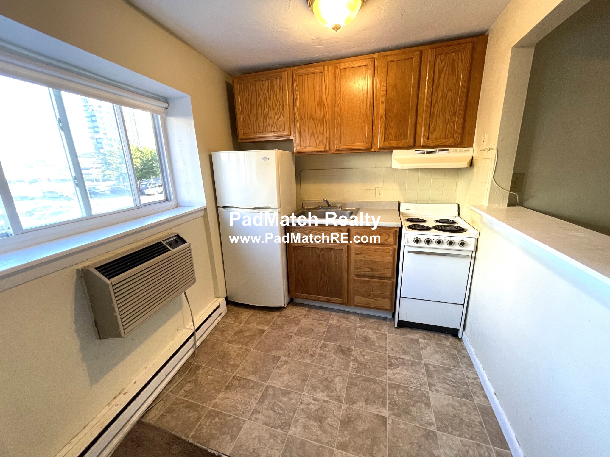 231 Harrison Ave, Chinatown