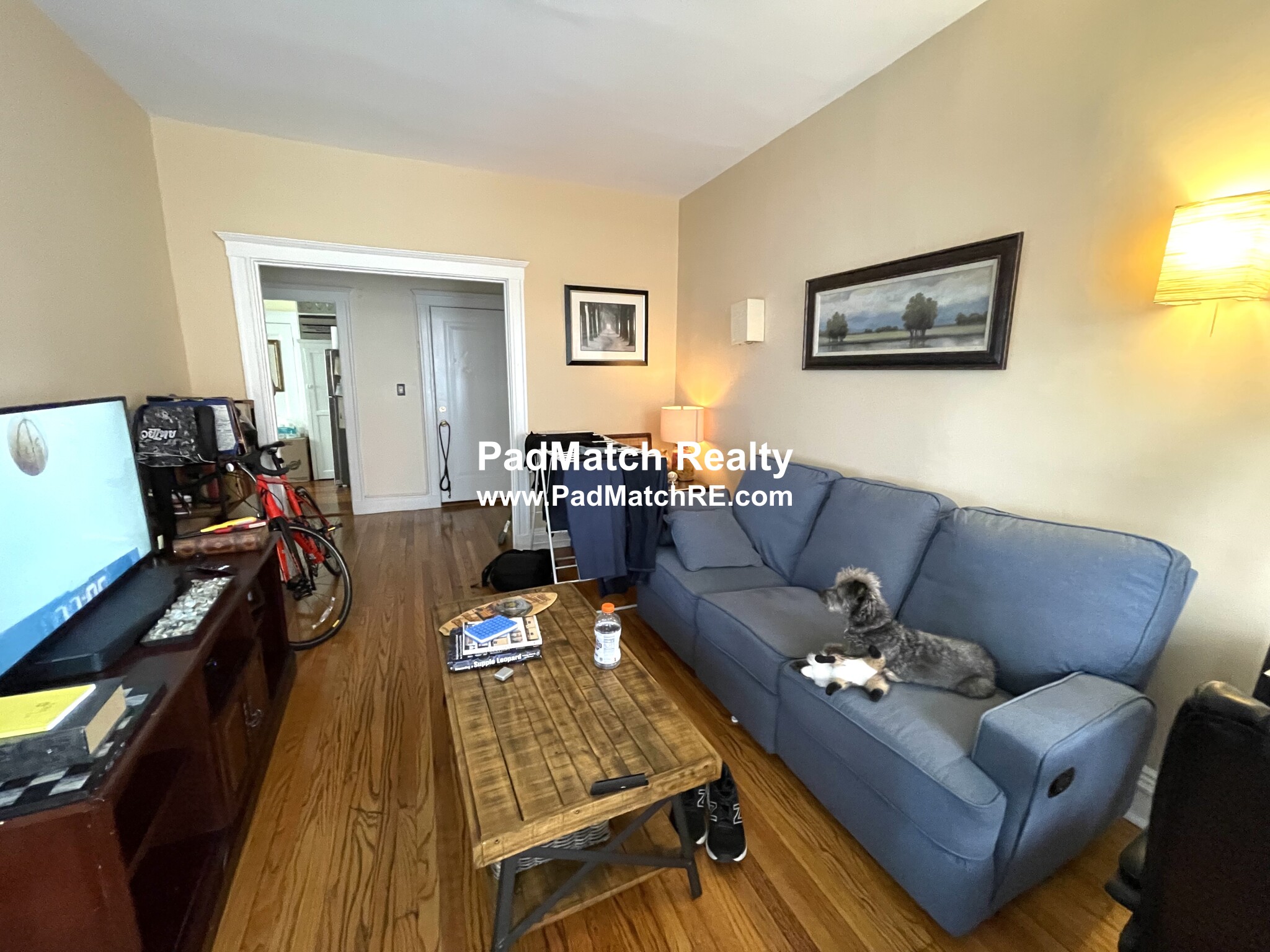 1 bed, 1 bath apartment for rent at 242 South Huntington Ave Unit 4, Jamaica Plain — photo 4 of 17