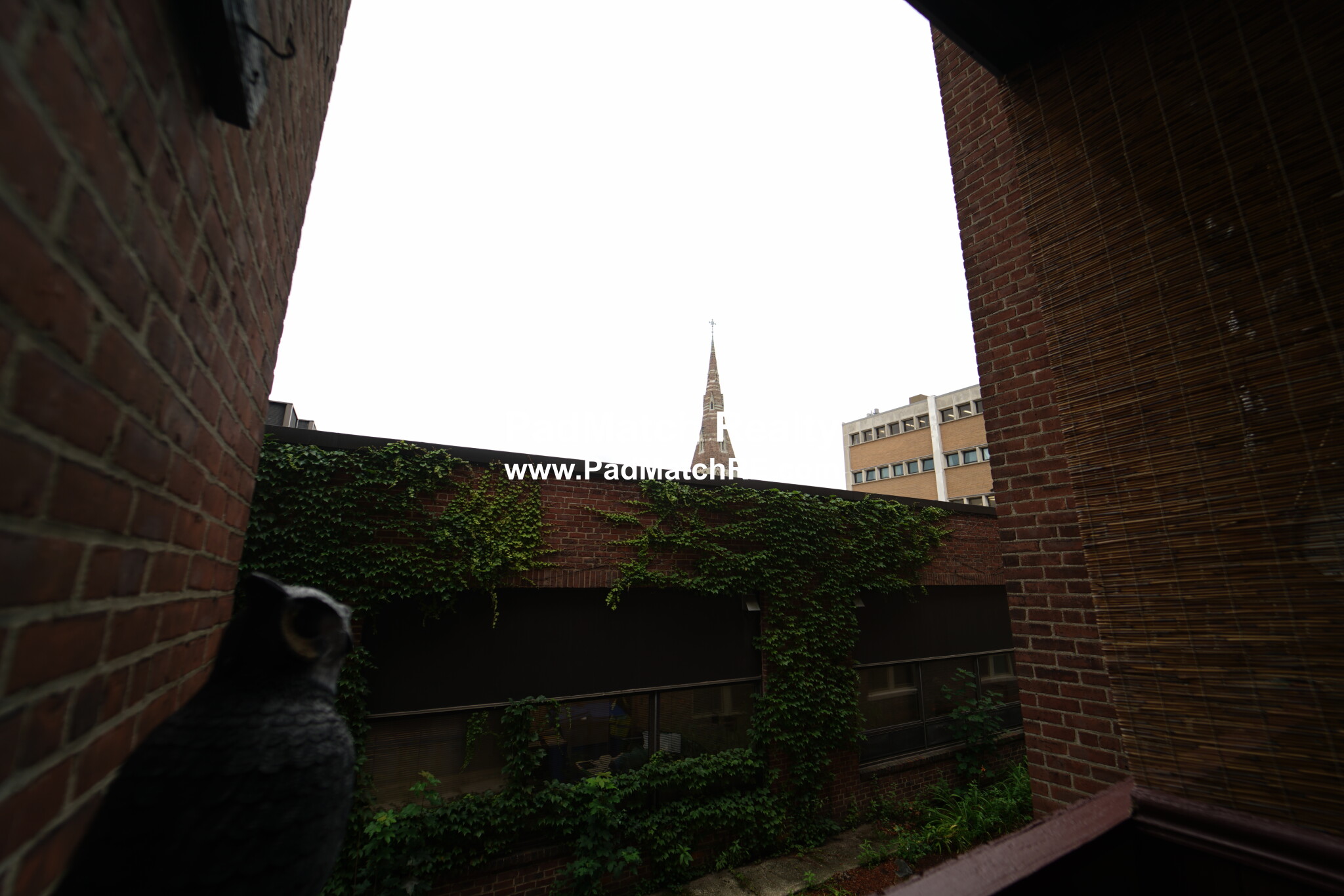 12 Alton Pl, Coolidge Corner