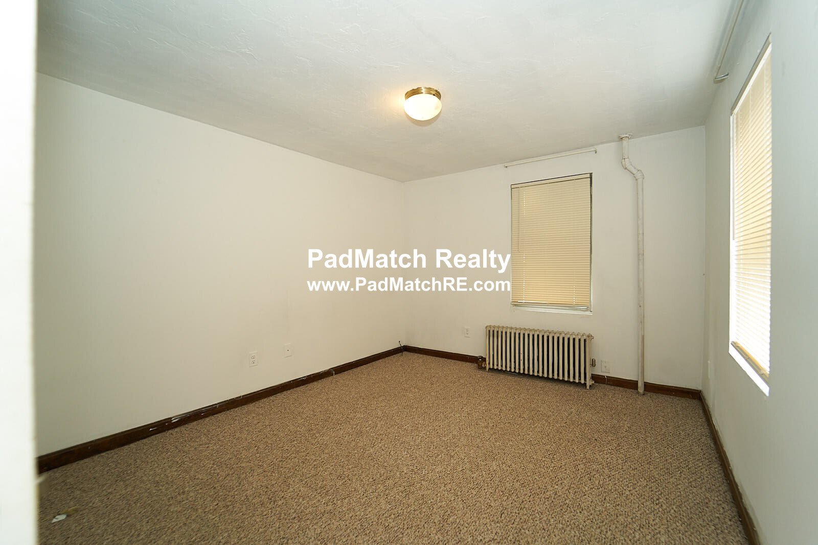 6 Shepard St, Brighton