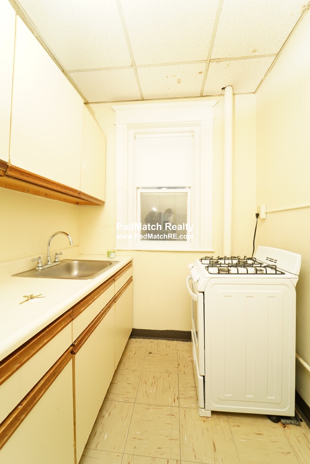 68 Woodstock Ave, Brighton