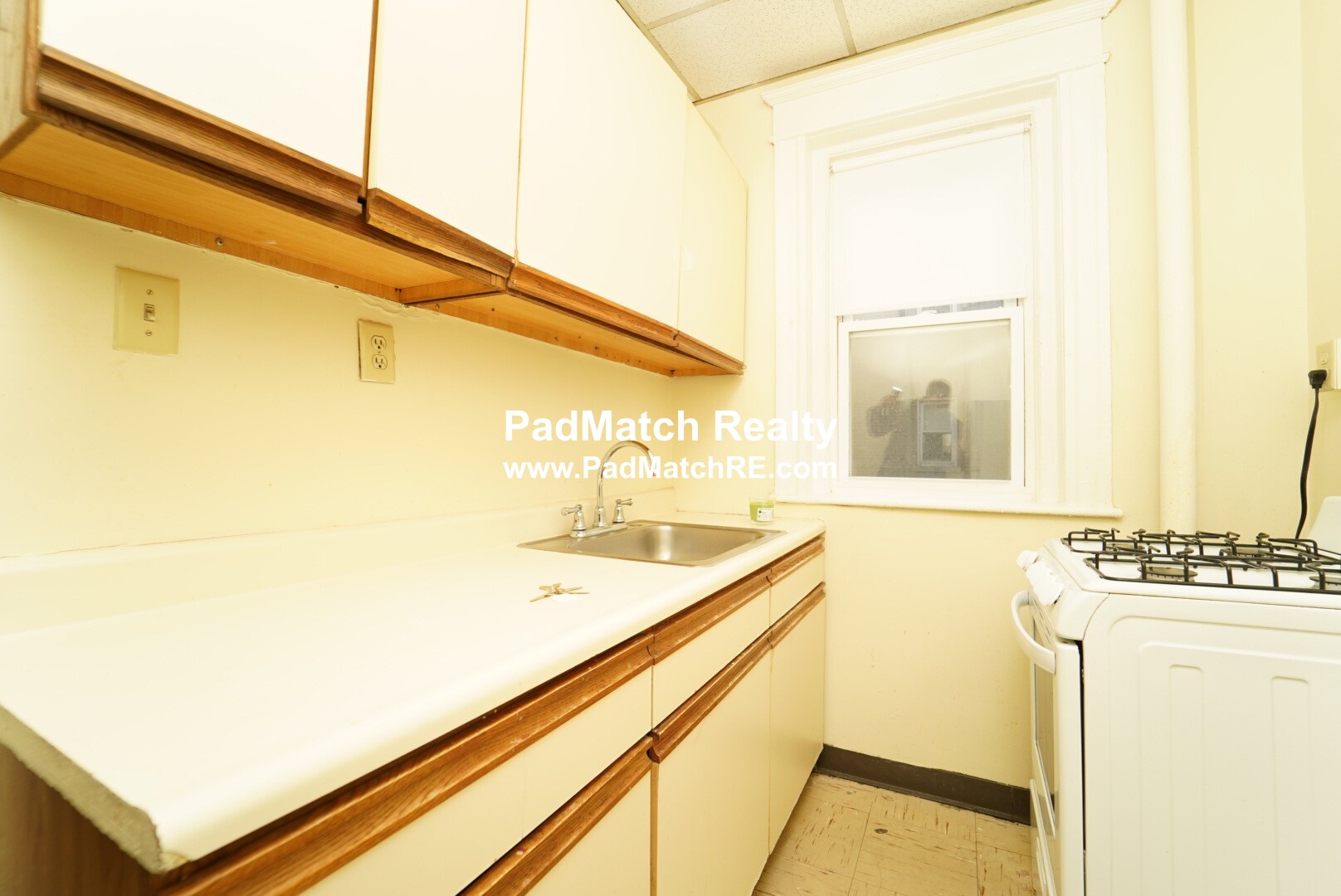 68 Woodstock Ave, Brighton