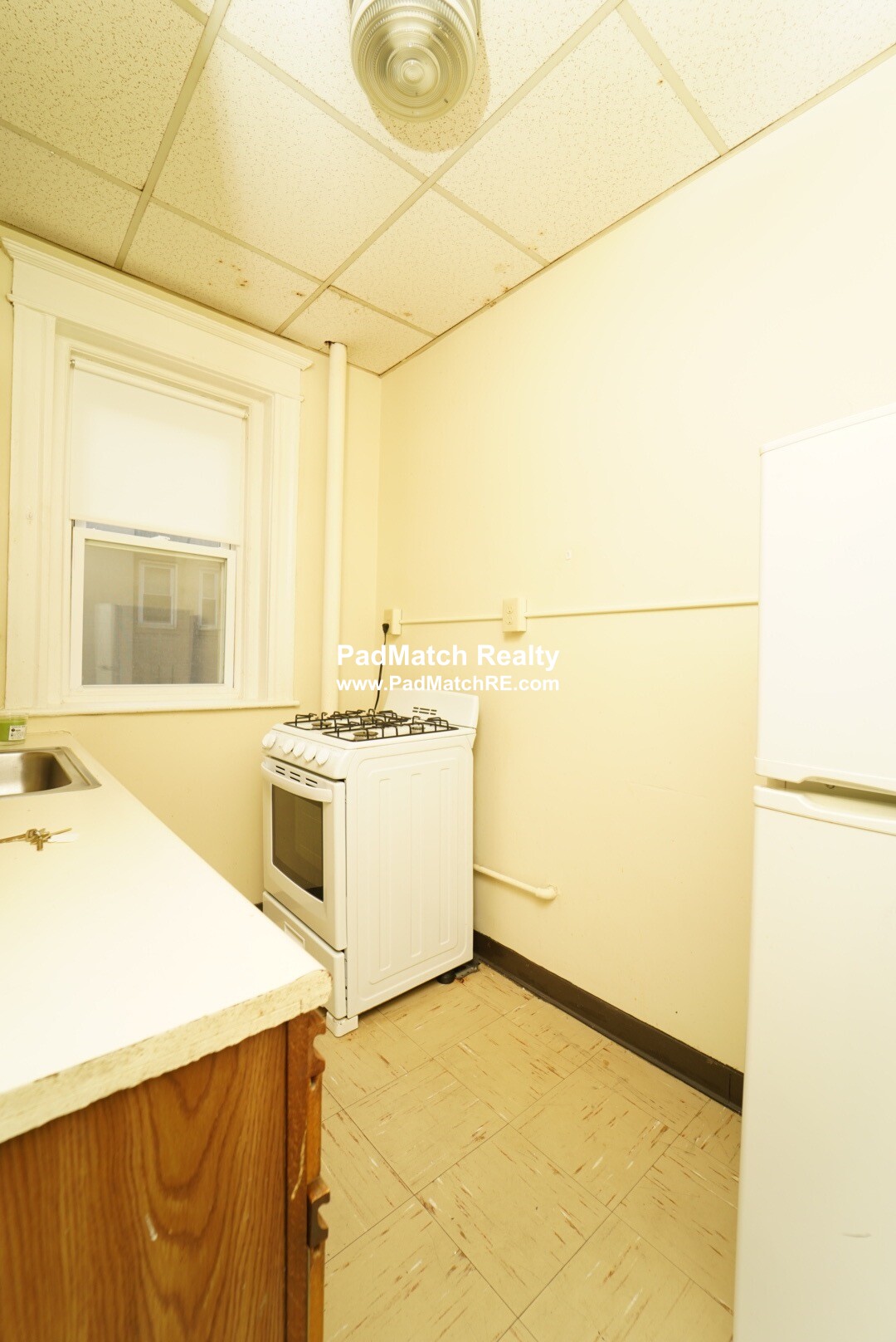 68 Woodstock Ave, Brighton