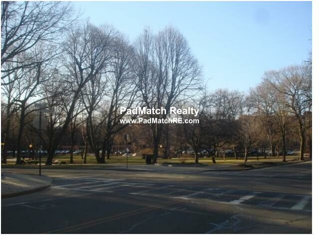 316 Saint Paul St, Longwood